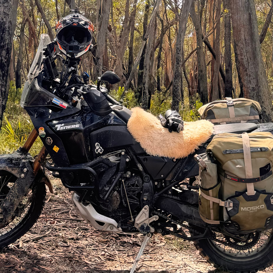 Universal Seat Covers