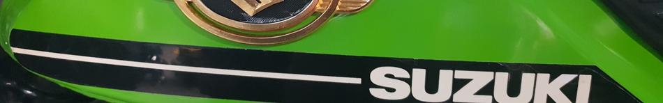 Suzuki Burgman / Tour