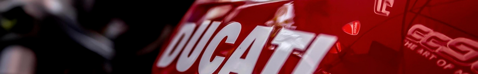 Ducati Panigale V2 / V4