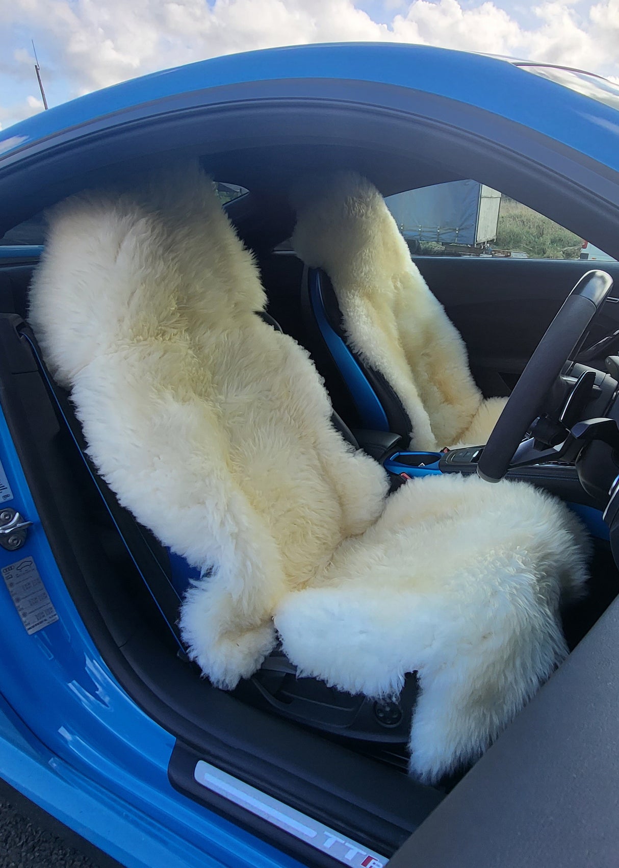 British Sheepskin Carseat Liners in Ivory